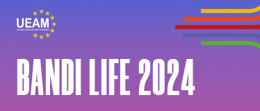 Bandi Life 2024